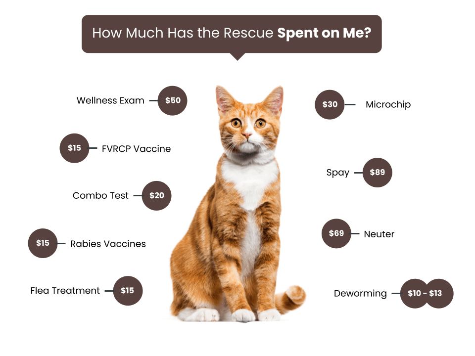 Cat Association of Topeka Fee Graphic