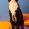 Tux